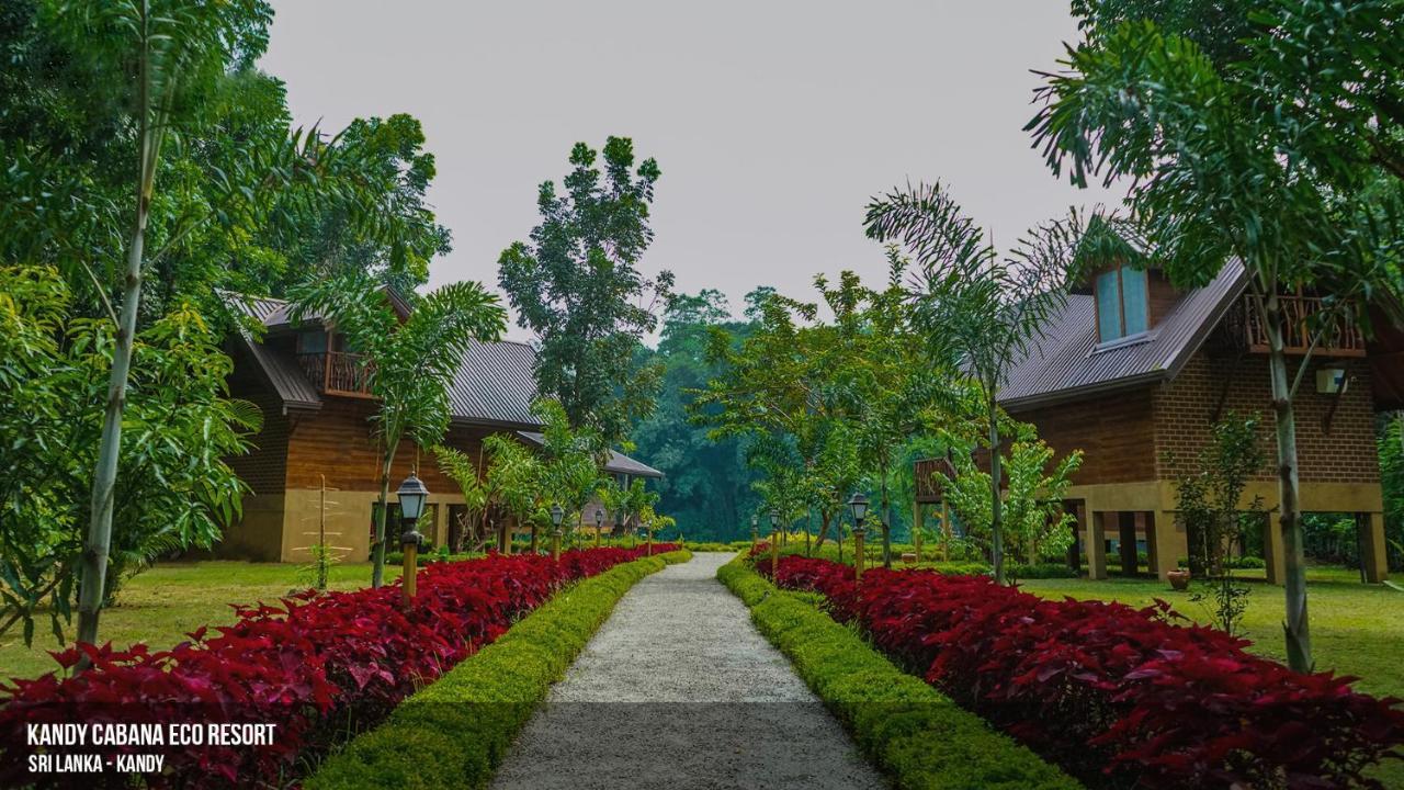 Kandy Cabana Exteriér fotografie